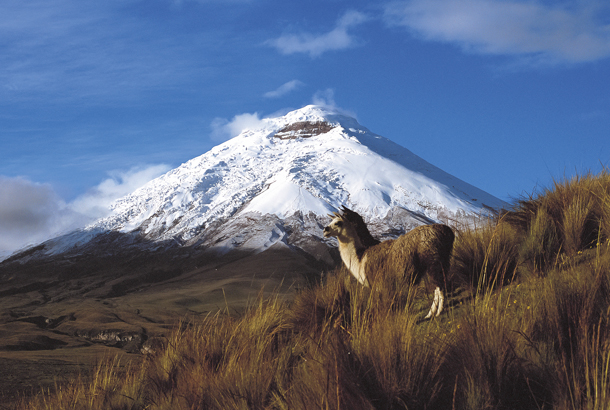 Day 8 - Quito