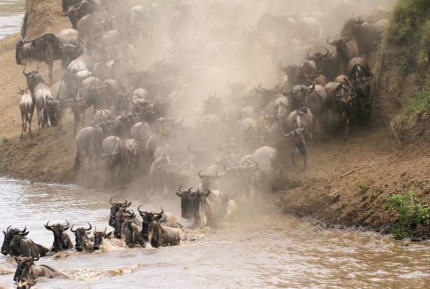 Crossing the Mara - Africa Lodge Safaris - Africa Tours - On The Go Tours