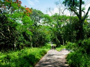 Cuc Phuong National Park - On the Go Tours