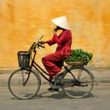 Local cycling | Vietnam | Southeast Asia