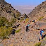 Trekking in Dana Nature Reserve | Jordan