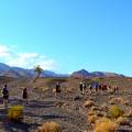 Rugged, mountainous landscape of the Dana Nature Reserve