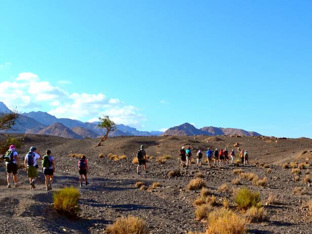 Rugged, mountainous landscape of the Dana Nature Reserve