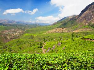 Darjeeling-Tea-Centre-Main