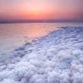 Salt encrusted rim of the Dead Sea at sunset