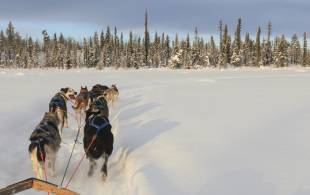 December Holiday Ideas - Lapland - On The Go Tours