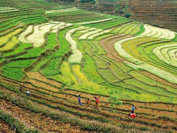 Beautiful mountainous landscape of Pelling