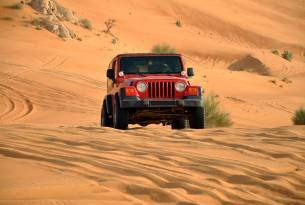 Desert safari - Best Places to Visit in Dubai - On The Go Tours
