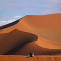 Orange sand dunes stretching into the distance at Sesriem