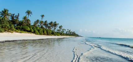 Deserted beach on Zanzibar