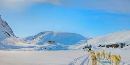 Dog sledding in Greenland - On The Go Tours