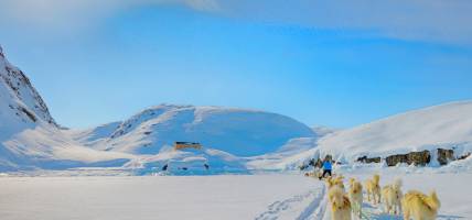 Dog sledding in Greenland - On The Go Tours