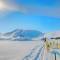 Dog sledding in the snow | Greenland