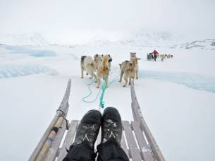Dog sledding in Greenland - Top Travel Tips - On The Go Tours