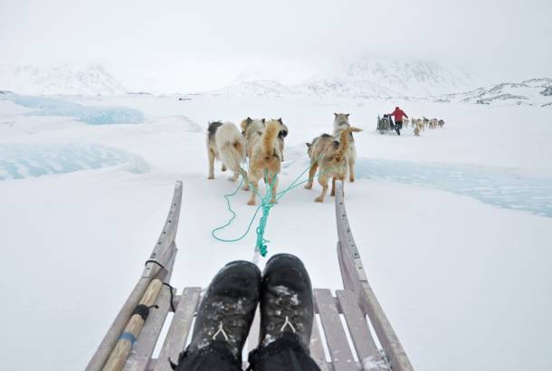 Dog sledding in Greenland - Top Travel Tips - On The Go Tours
