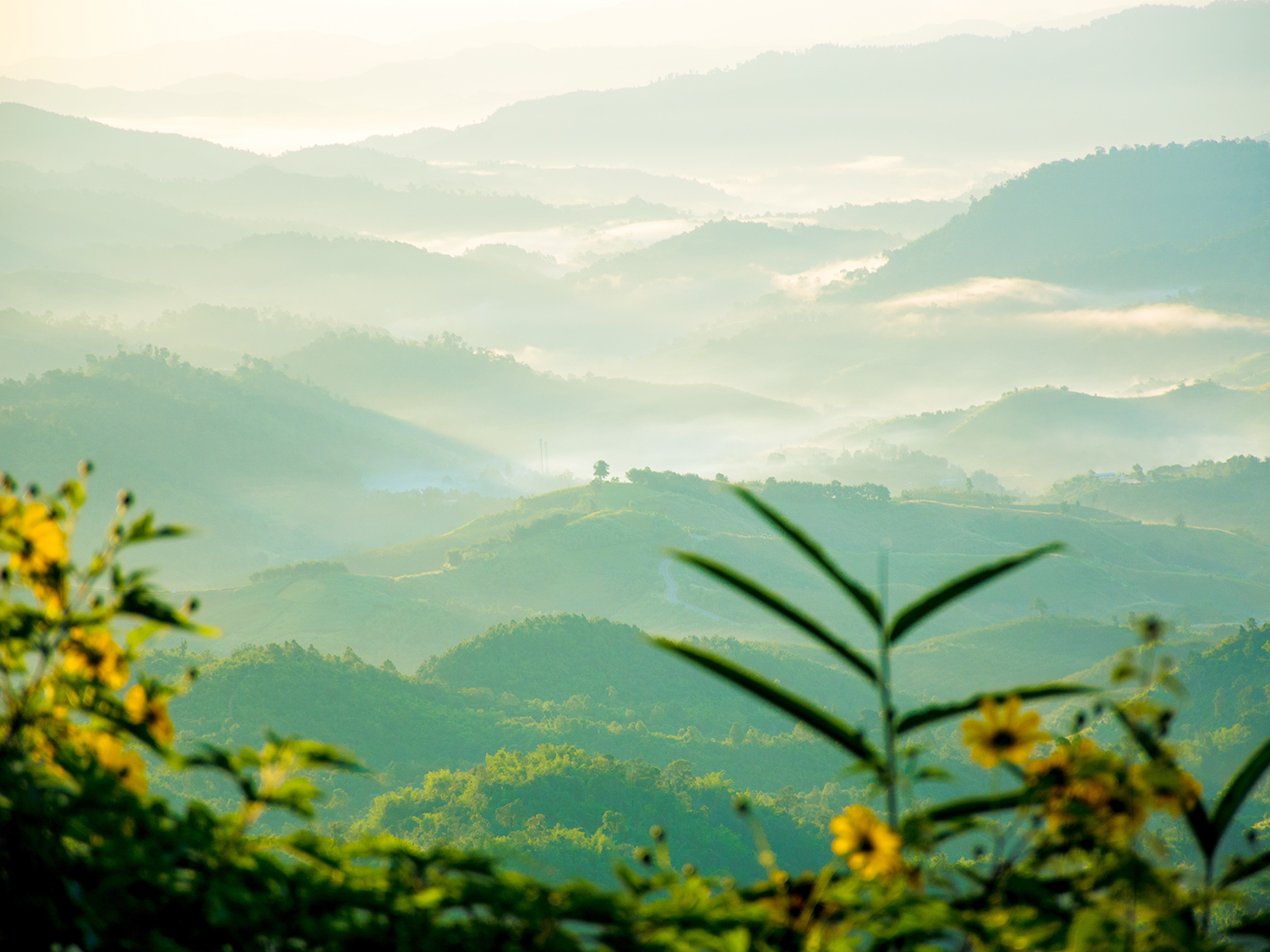 Day 7 - Chiang Saen