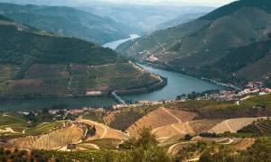 Douro Valley - Best places to visit in Portugal - On The Go Tours