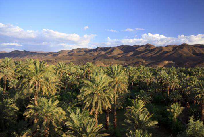 Draa Valley in Morocco - On The Go Tours