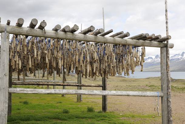 Dried cod - Travel Tips