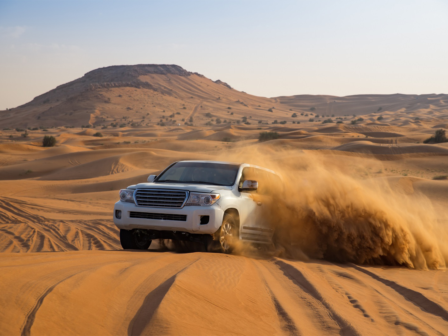 Dubai desert safari - dune bashing