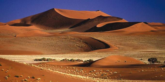 Sossusvlei | Namibia | Africa