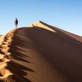 Orange sand dunes stretching into the distance at Sesriem