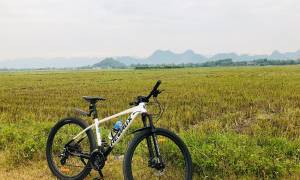 Easia TRavel ONLY - mountain bike