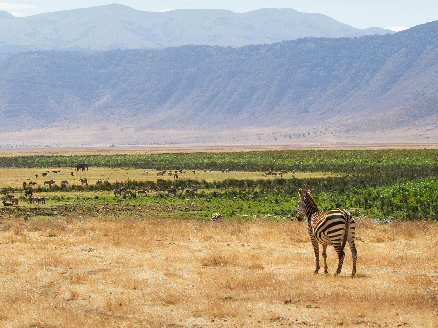 Zambia to Nairobi (Accommodated) - 21 days