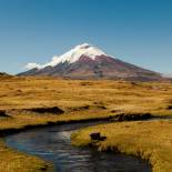 Cotopaxi Volcano | Ecuador