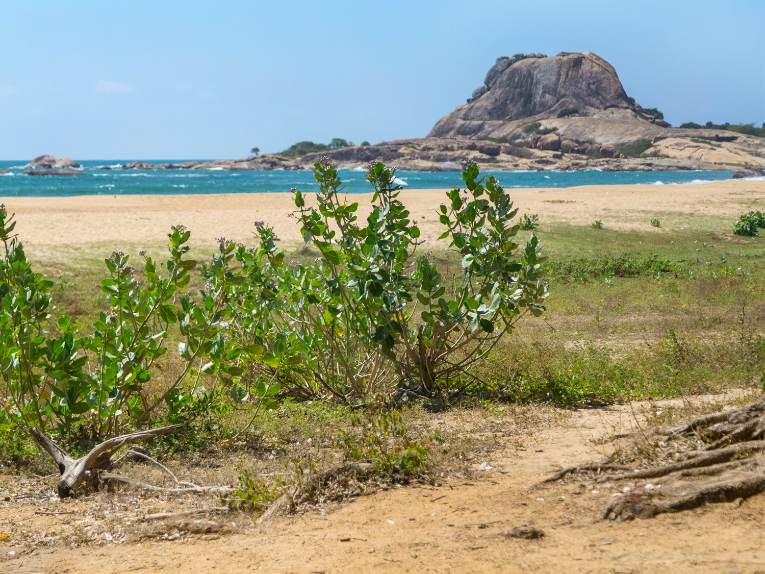 Day 4 - Yala National Park