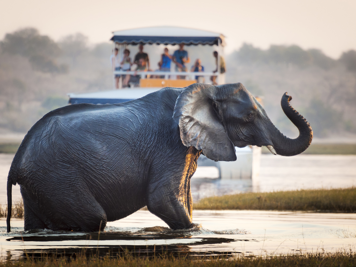 Days 2-3 - Chobe National Park