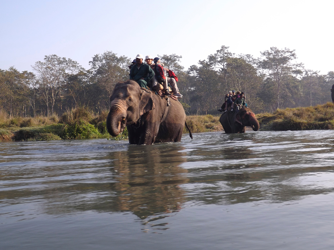 Day 4 - Chitwan National Park