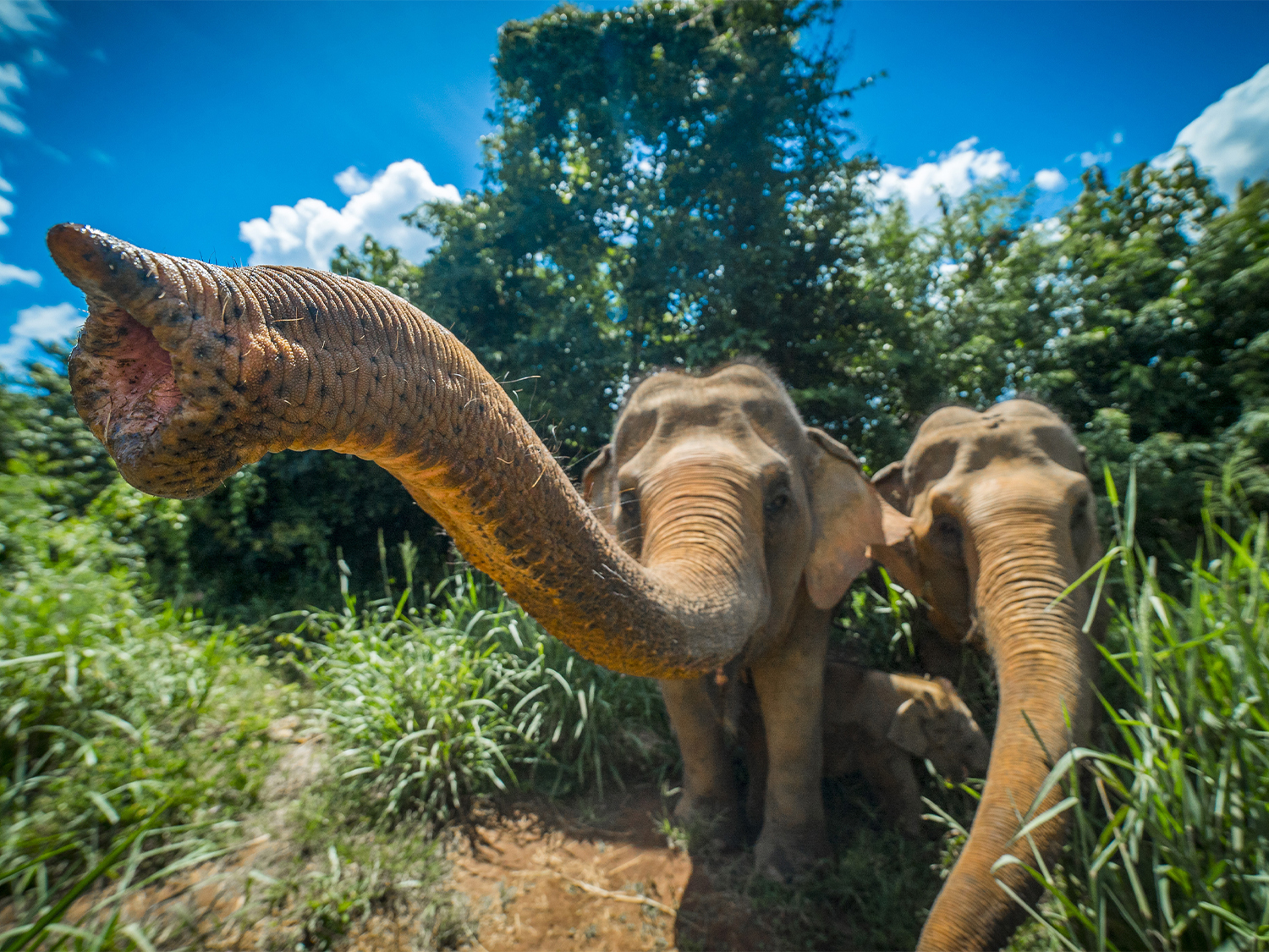 Day 7 - Chiang Mai
