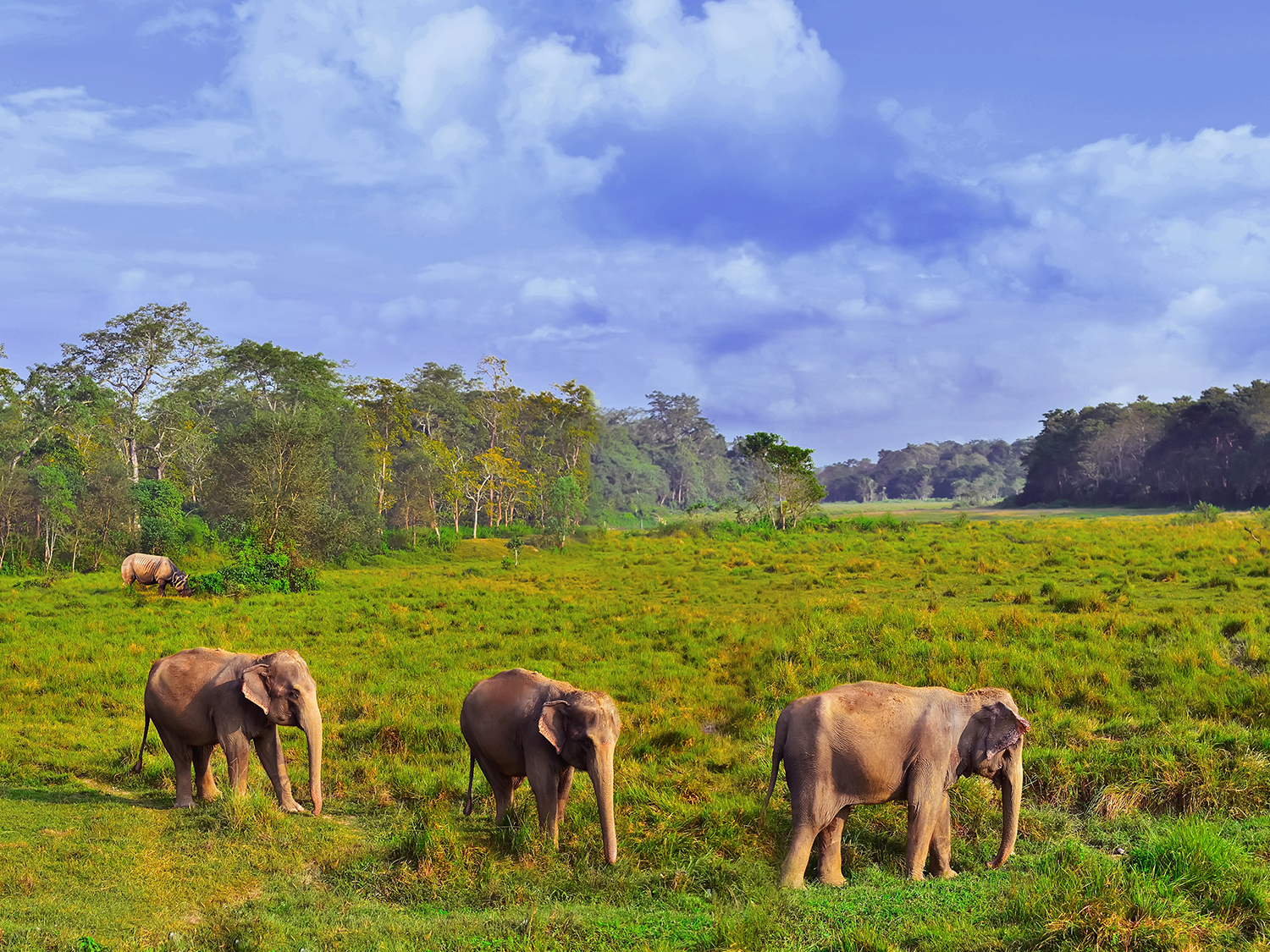 Days 2-3 - Chitwan National Park