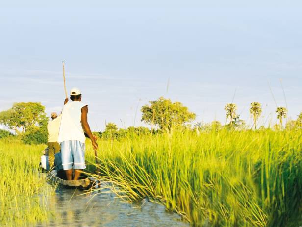 Mokoro boat gliding along the Okavango River