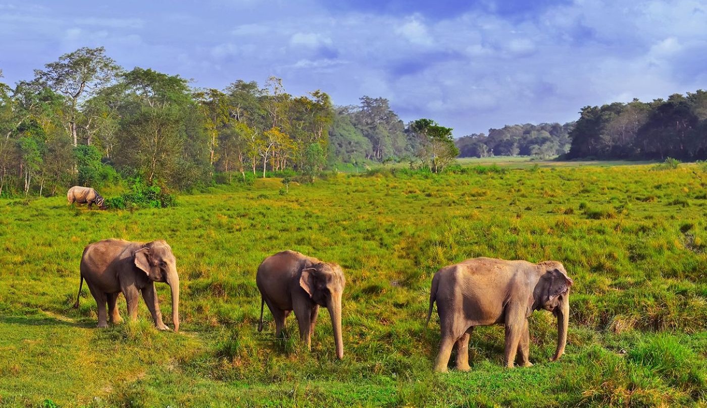 Nepal to Golden Triangle & Goa - 19 days
