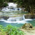 Chatuchak Market in Bangkok - On the Go Tours