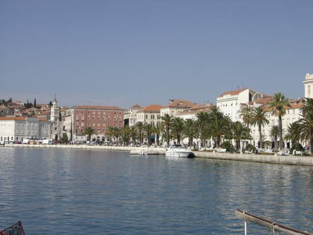 View of the main strip of Split, lined with palm trees along the waterfront