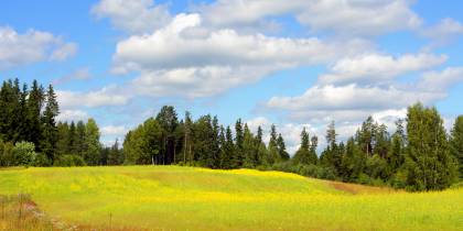 Estonia - Best Time to Visit Main Image