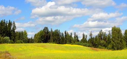 Estonia - Best Time to Visit Main Image