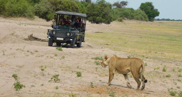 tourhub | On The Go Tours | Chobe, Okavango & Etosha - 14 days | 2480/COE