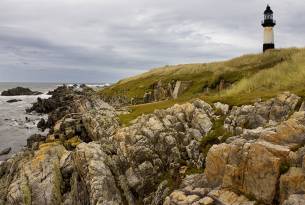 Falkland Islands - Antarctica - On The Go Tours