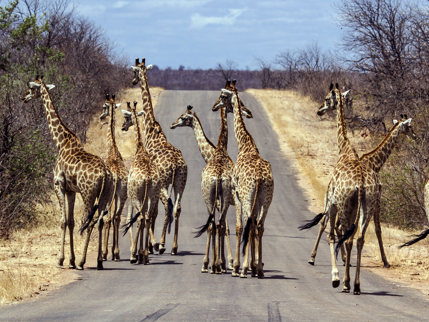 Falls, Matobo & Kruger (Accommodated) - 7 days
