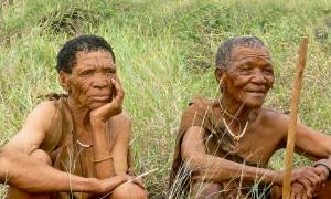 Falls to Namibia main image - San Bushmen