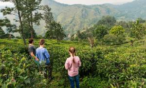 Family in Nuwara Eliya - Sri Lanka - On The Go Tours