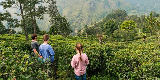 Family in Nuwara Eliya | Sri Lanka