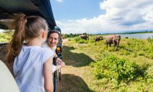 Family in Udawalawe National Park - Sri Lanka - On The Go Tours