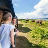 Family spotting elephants in Udawalawe National Park | Sri Lanka