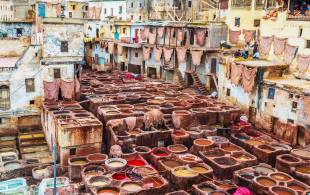 Fes tanneries - Morocco