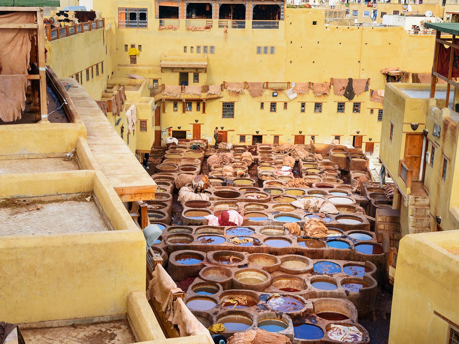 Day 14 - The Spirit of Fes